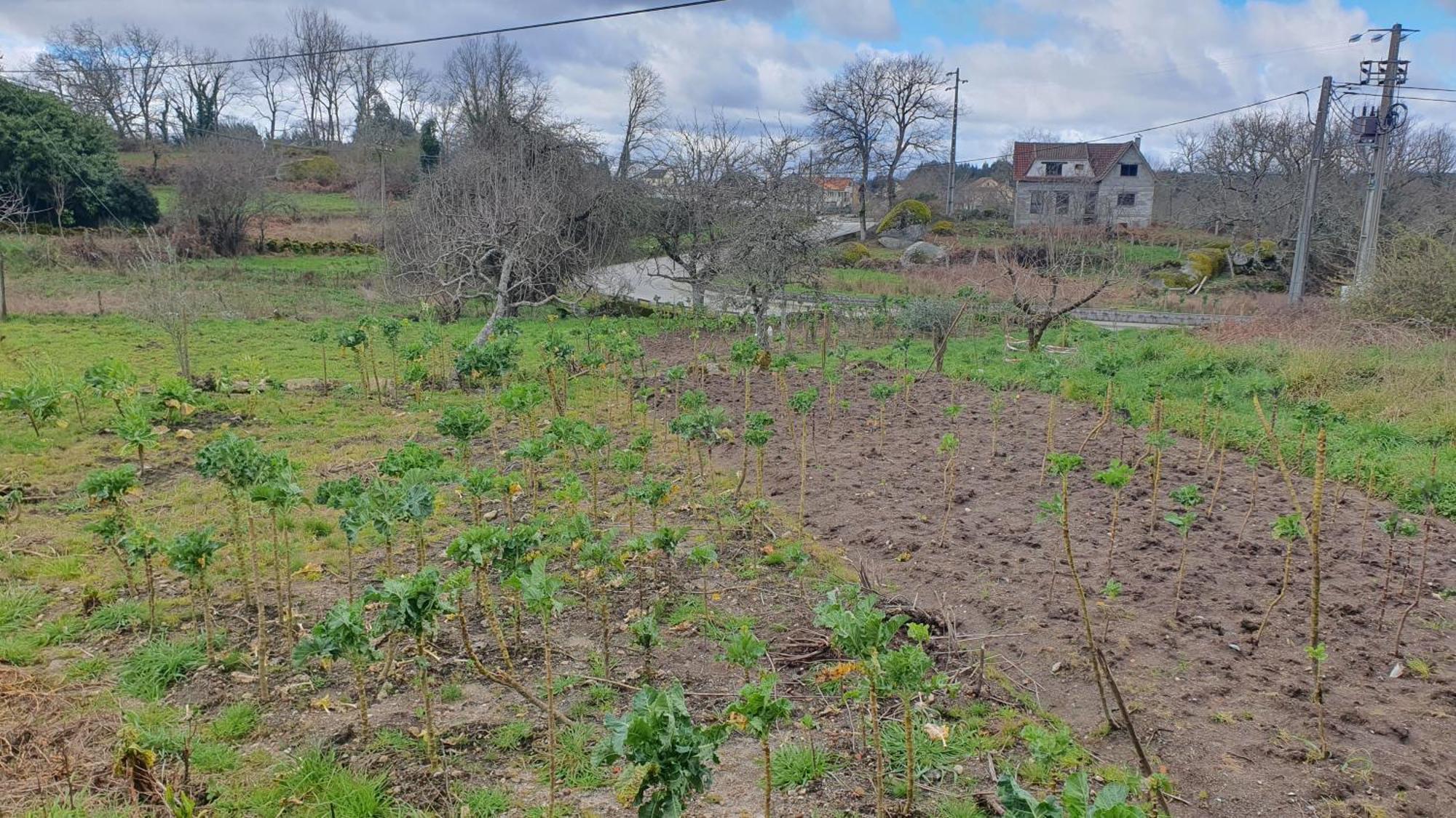 Apartamento T2 Zona Rural Vila Nova de Paiva Esterno foto